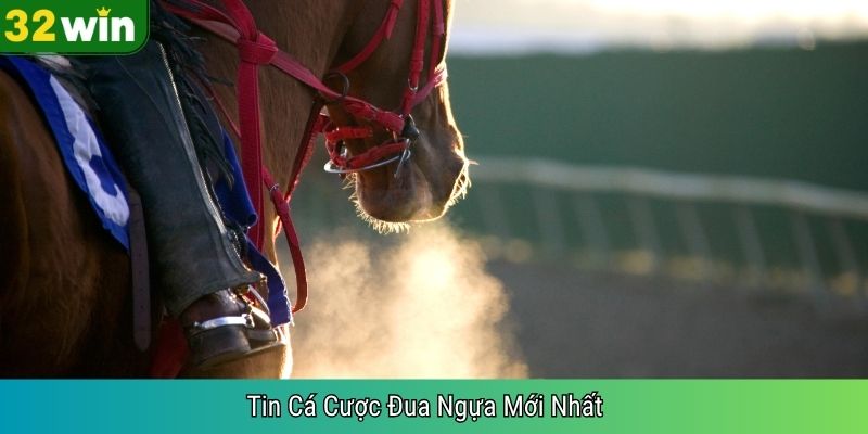 Tin Cá Cược Đua Ngựa Mới Nhất