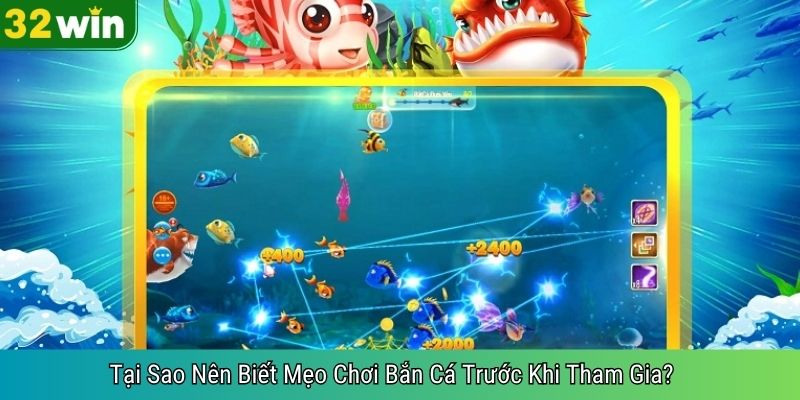 Tại Sao Nên Biết Mẹo Chơi Bắn Cá Trước Khi Tham Gia?