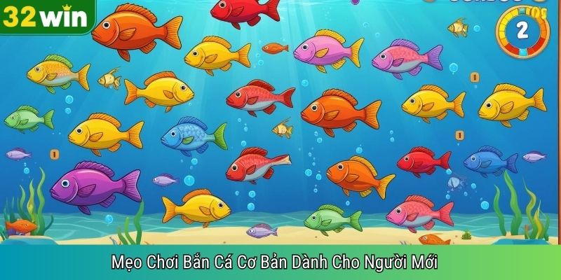 Mẹo Chơi Bắn Cá Cơ Bản Dành Cho Người Mới